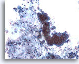 Click to enlarge Image 3