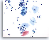 Click to enlarge Image 2