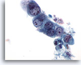 Click to enlarge Image 2