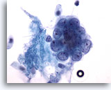 Click to enlarge Image 3