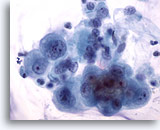 Click to enlarge Image 3