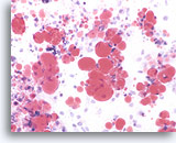 Click to enlarge Image 3