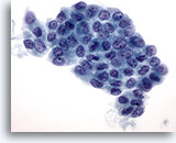 Click to enlarge Image 3