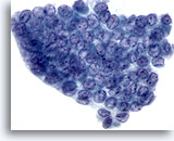 Click to enlarge Image 2