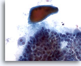 Click to enlarge Image 2