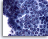 Click to enlarge Image 3