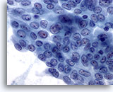 Click to enlarge Image 3