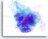 Click to enlarge Image 3