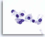 Click to enlarge Image 3