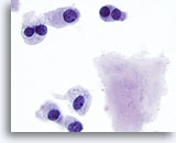 Click to enlarge Image 3