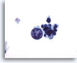 Click to enlarge Image 3