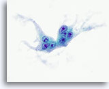 Click to enlarge Image 3