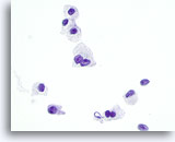 Click to enlarge Image 3