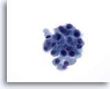 Click to enlarge Image 2