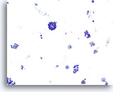 Click to enlarge Image 2