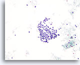 Click to enlarge Image 2