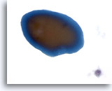 Click to enlarge Image 2