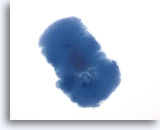 Click to enlarge Image 2