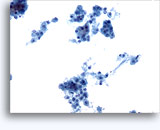 Click to enlarge Image 2