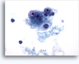 Click to enlarge Image 3