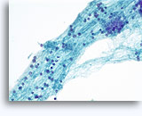 Click to enlarge Image 3