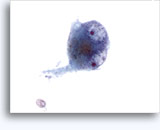 Click to enlarge Image 3