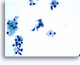 Click to enlarge Image 3