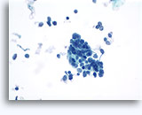 Click to enlarge Image 3