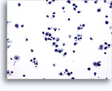 Click to enlarge Image 3