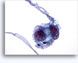 Click to enlarge Image 3