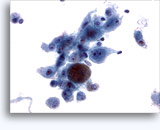 Click to enlarge Image 2