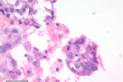 Traditional cell block 60x